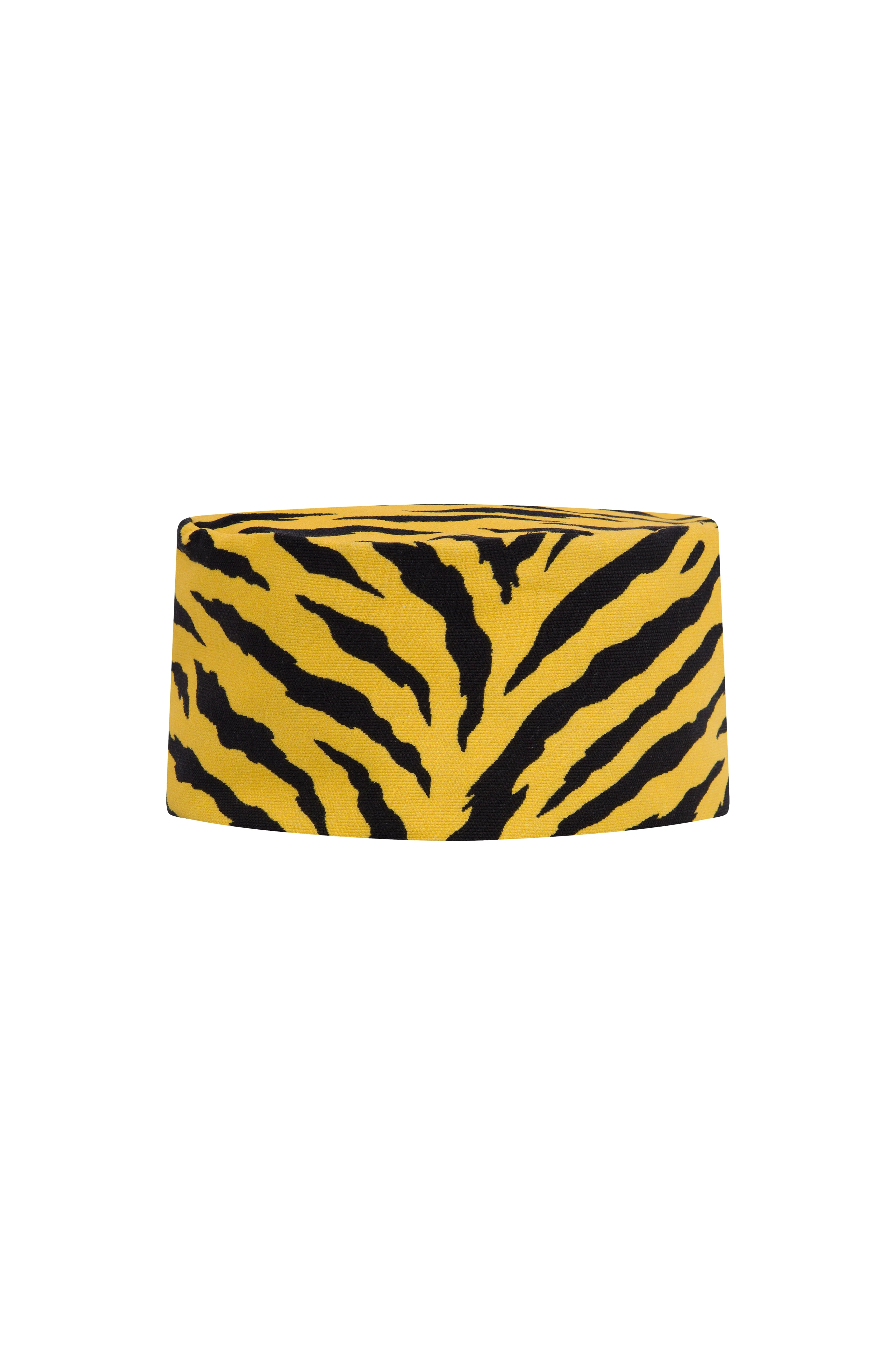 Zebra Fes - Image 2